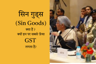 What are sin Goods